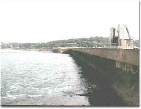 wpe86.jpg (6367 Byte)