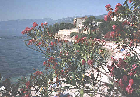 Cala Gonone.jpg (29140 Byte)