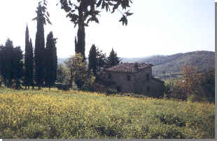 wpe1C.jpg (9935 Byte)