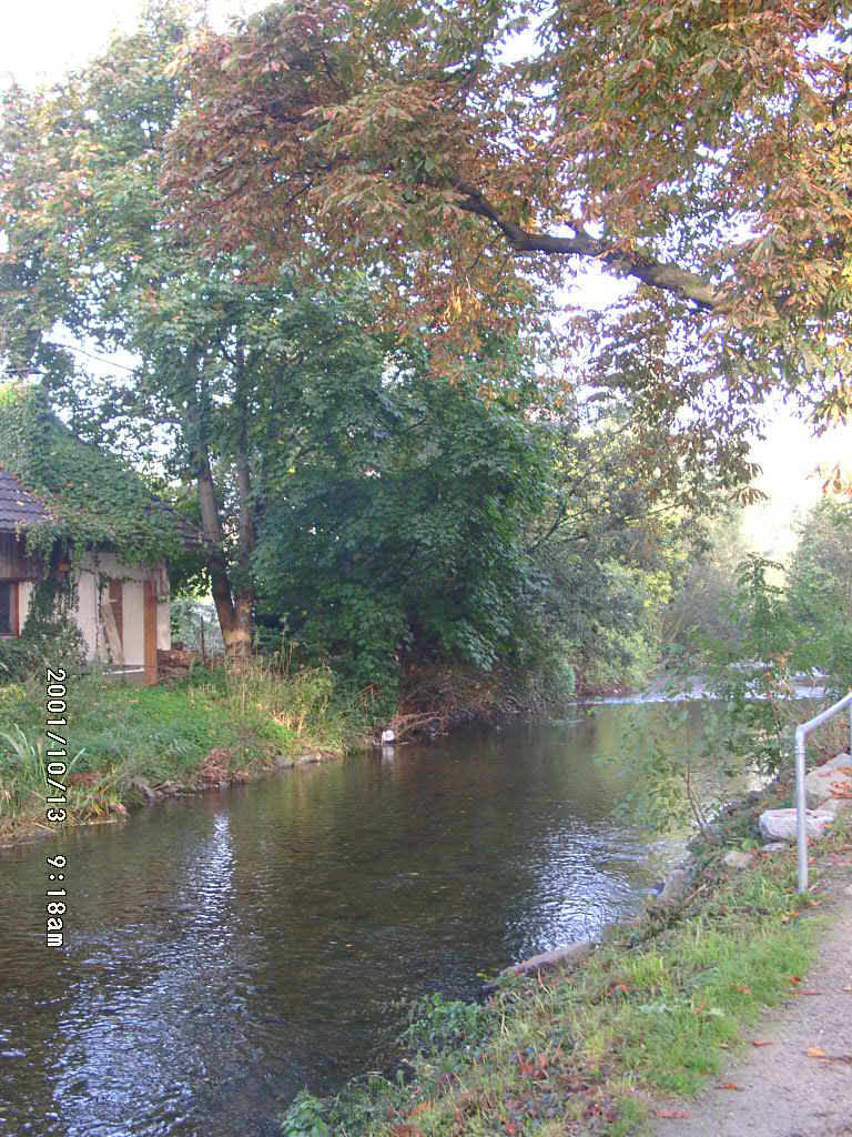 10130004.jpg (268385 Byte)