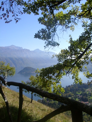 10140027.jpg (198029 Byte)