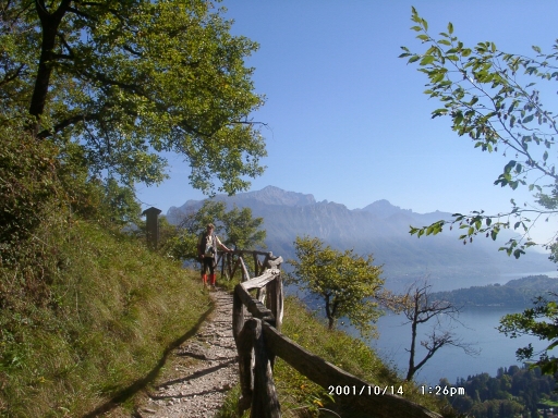 10140028.jpg (183849 Byte)