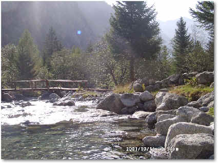 wpeBB.jpg (22445 Byte)