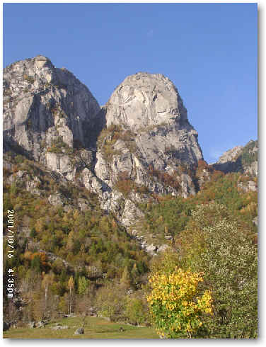 wpeCD.jpg (29486 Byte)