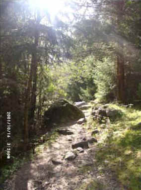 10160078.jpg (16252 Byte)