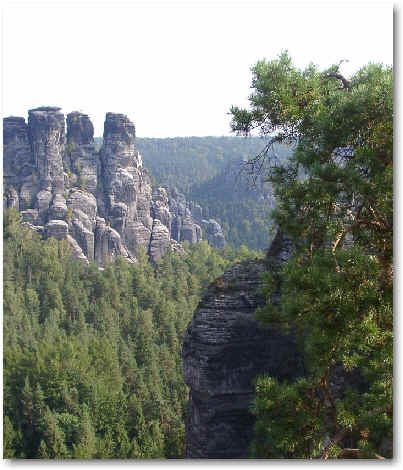 wpe22.jpg (27805 Byte)