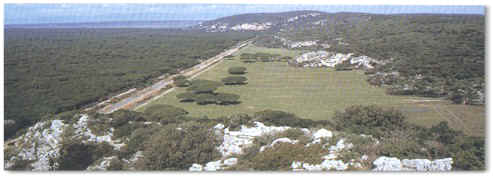 maremma.jpg (33840 Byte)